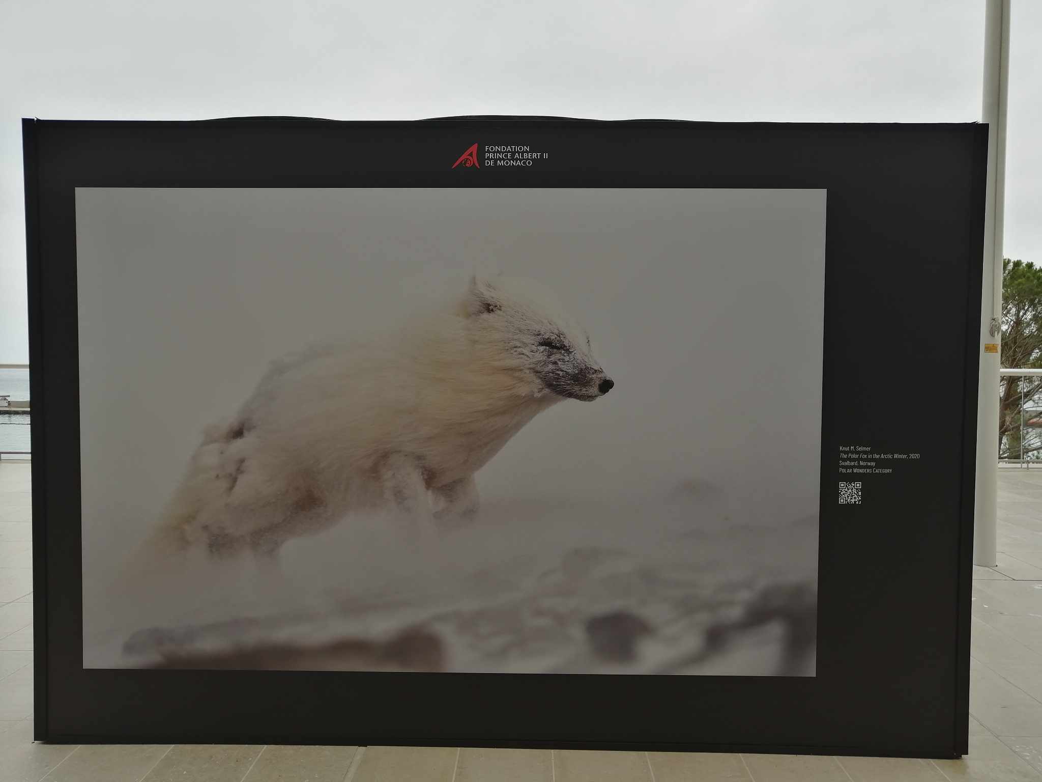 photographe professionnel menton-photo sous marine beausoleil-studio photo roquebrune cap martin-photographe mariage monaco-photographe entreprise menton-photographe pro cap d ail-shooting photo nice-seance photo eze