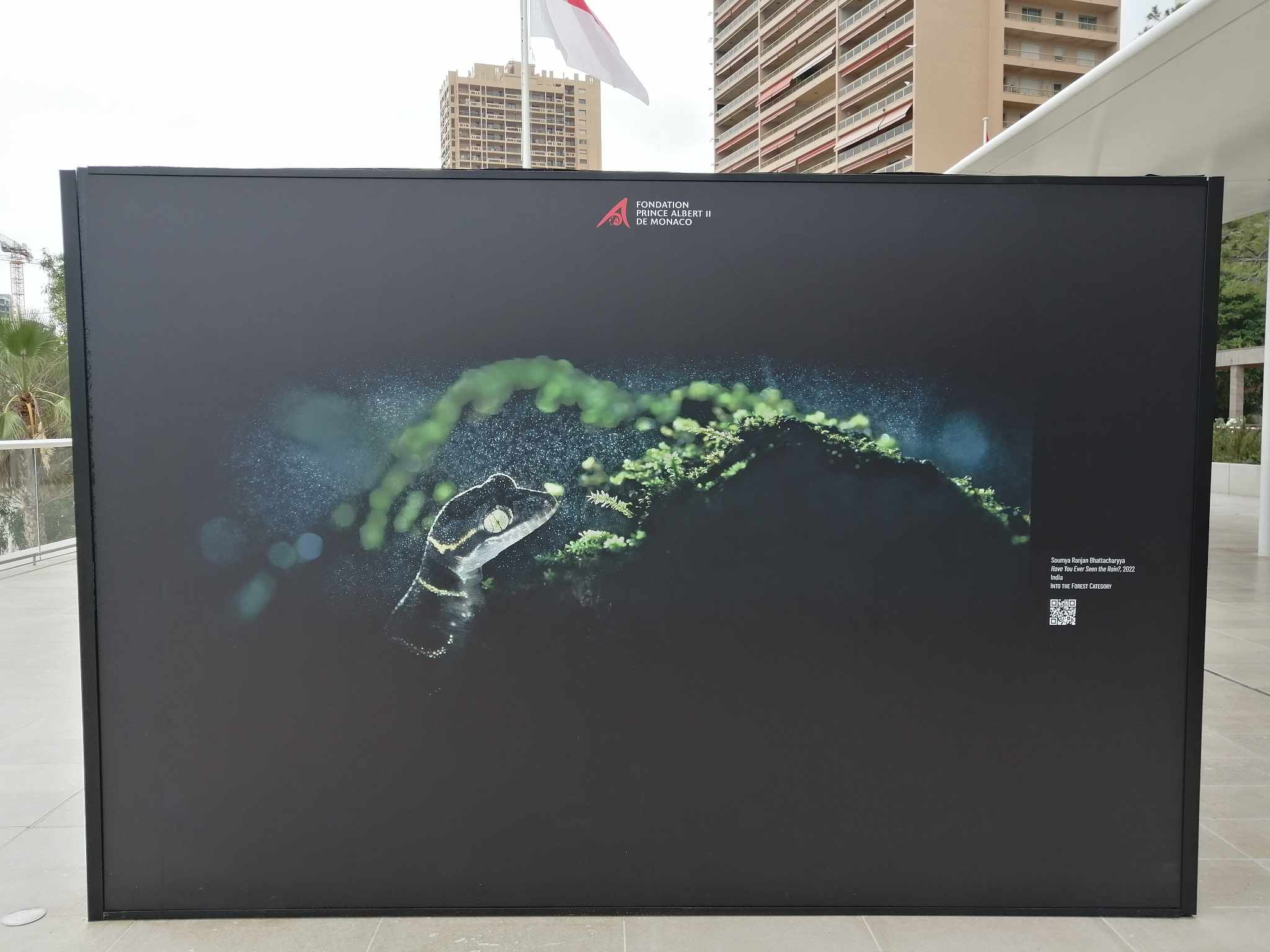 photographe professionnel menton-photo sous marine beausoleil-studio photo roquebrune cap martin-photographe mariage monaco-photographe entreprise menton-photographe pro cap d ail-shooting photo nice-seance photo eze