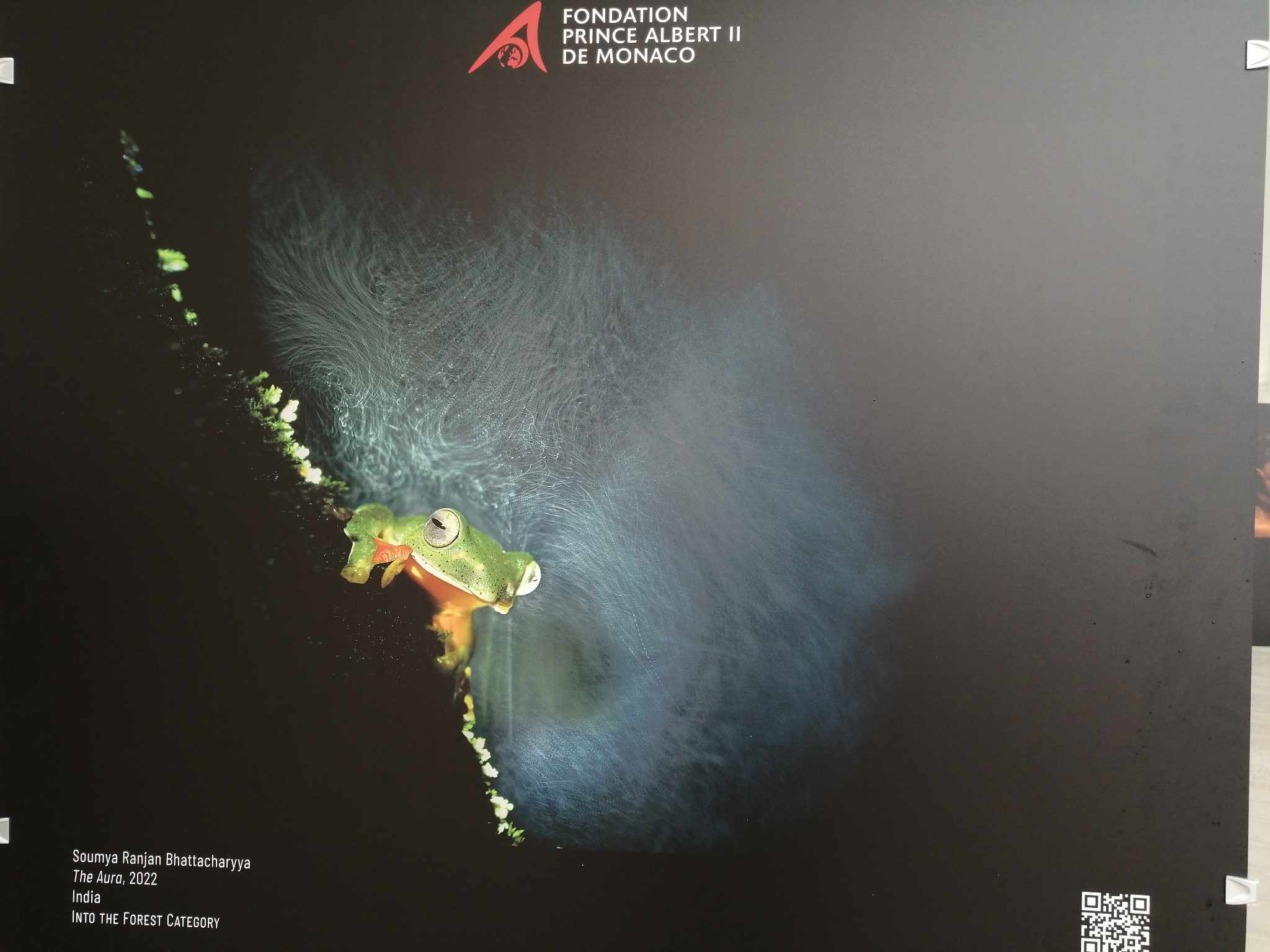 photographe professionnel menton-photo sous marine beausoleil-studio photo roquebrune cap martin-photographe mariage monaco-photographe entreprise menton-photographe pro cap d ail-shooting photo nice-seance photo eze