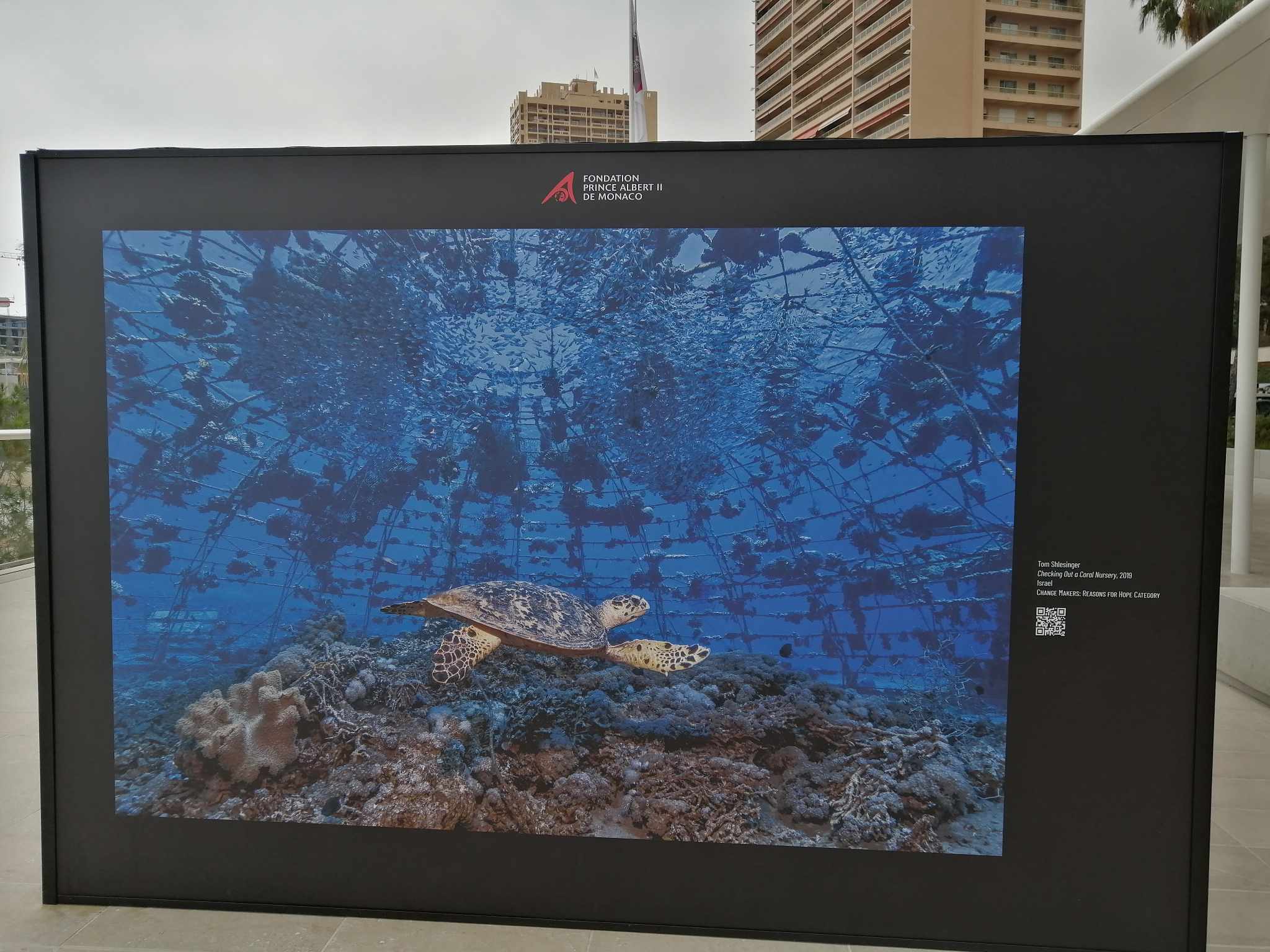 photographe professionnel menton-photo sous marine beausoleil-studio photo roquebrune cap martin-photographe mariage monaco-photographe entreprise menton-photographe pro cap d ail-shooting photo nice-seance photo eze